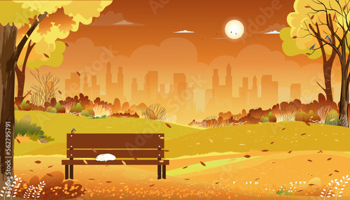 Autumn landscapes city park with cat sleeping on bench in the morning,Vector cartoon fall season in the garden urban park with clouds and orange sky background