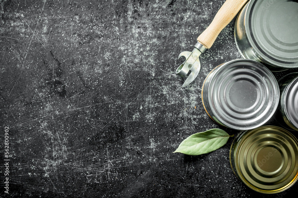 Assortment of various cans with the can opener and the Bay leaf.