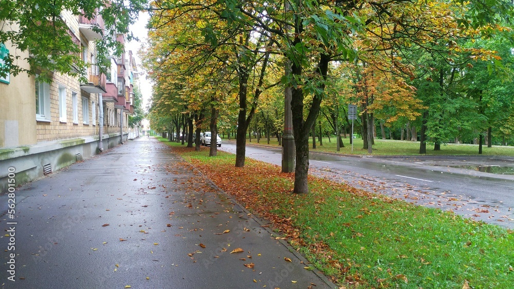 In autumn fallen leaves lie on sidewalks, roads, and grassy lawns There are parked cars on the roadway. There is a city park next to the road and residential houses with balconies next to the sidewalk