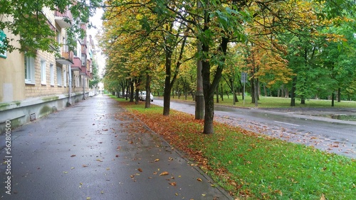 In autumn fallen leaves lie on sidewalks, roads, and grassy lawns There are parked cars on the roadway. There is a city park next to the road and residential houses with balconies next to the sidewalk