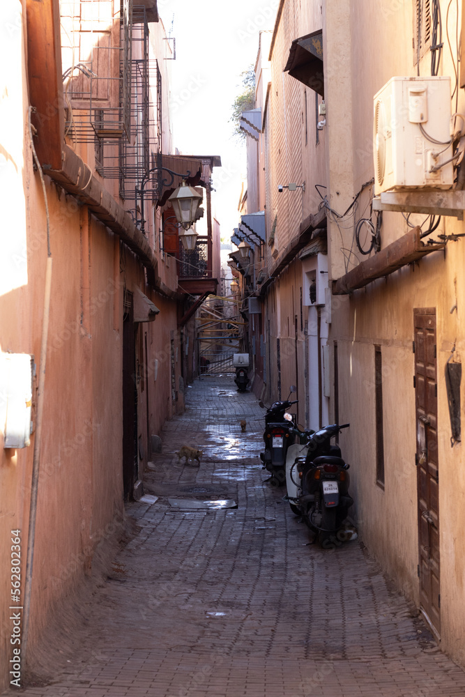 A picture captures a narrow alley in Marrakesh, Morocco.