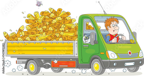 Funny driver with his merry cat in a green small truck full of chopped firewood rushing down a bumpy dusty road in countryside, vector cartoon illustration isolated on a white background