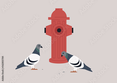 Urban daily scene, two pigeons walking next to a red fire hydrant