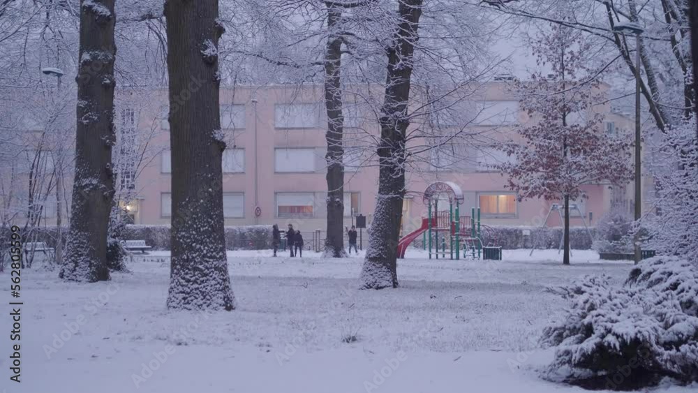 Snow