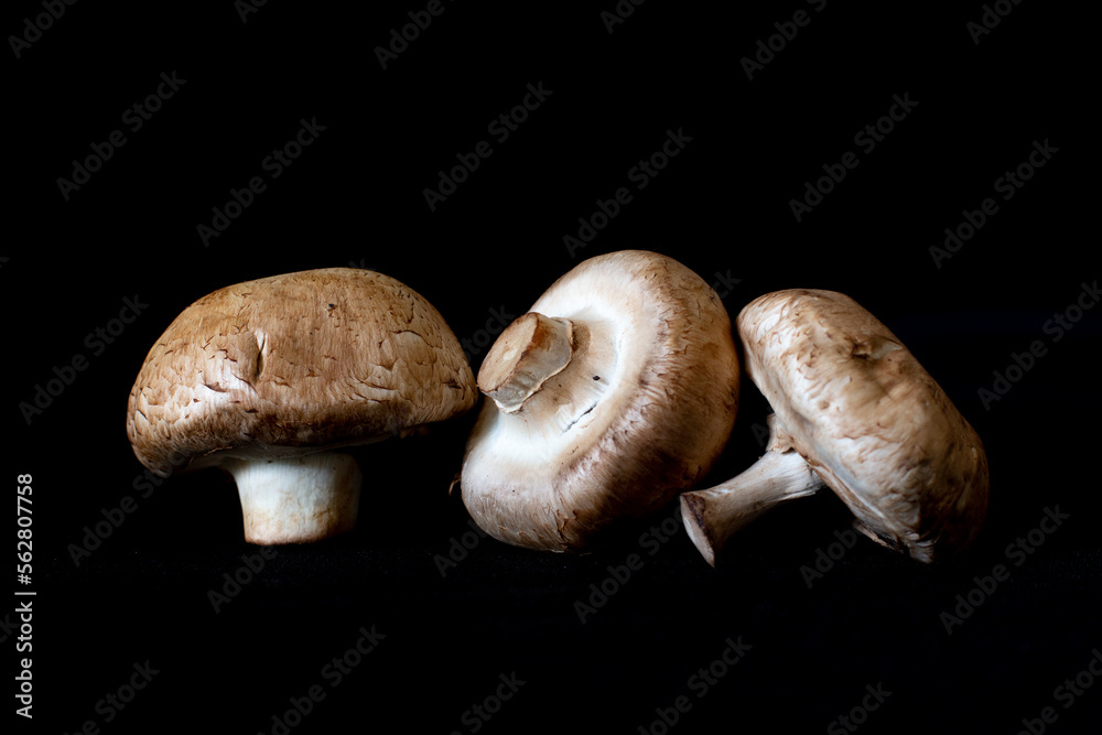 champignon,setas, champiñon champignon,setas, champiñon