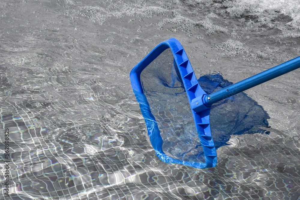Clean Mesh In Net Mesh net for cleaning pool from debris. Cleaning pool, city fountain ...