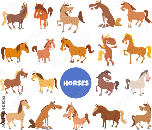 Obraz na plátně cartoon horses and ponies farm animal characters big set