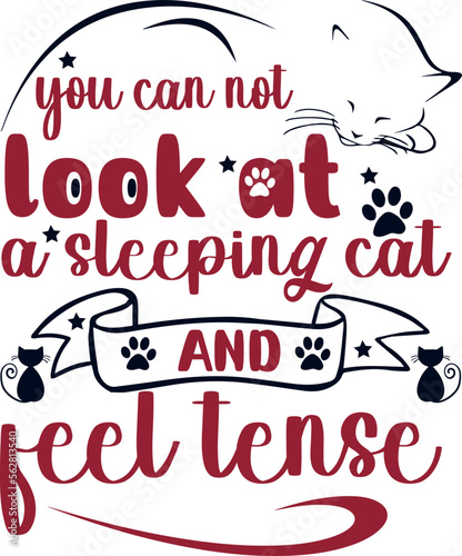 You can not look at a sleeping cat and feel tense _T-SHIRT	