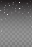 White Snowfall Vector Transparent Background.