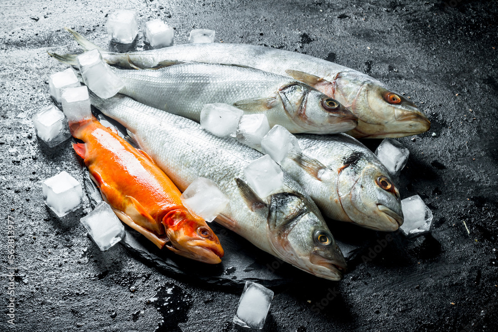 Range of raw fish with ice cubes.