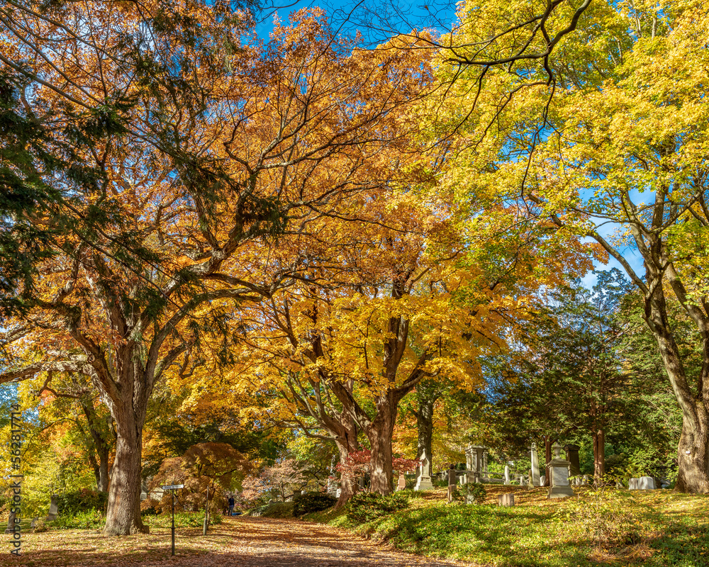Massachusetts-Cambridge-Mt. Auburn Cemetery