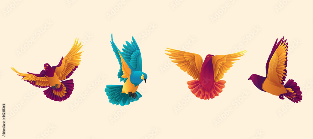 Flying Colorful Dove set Design