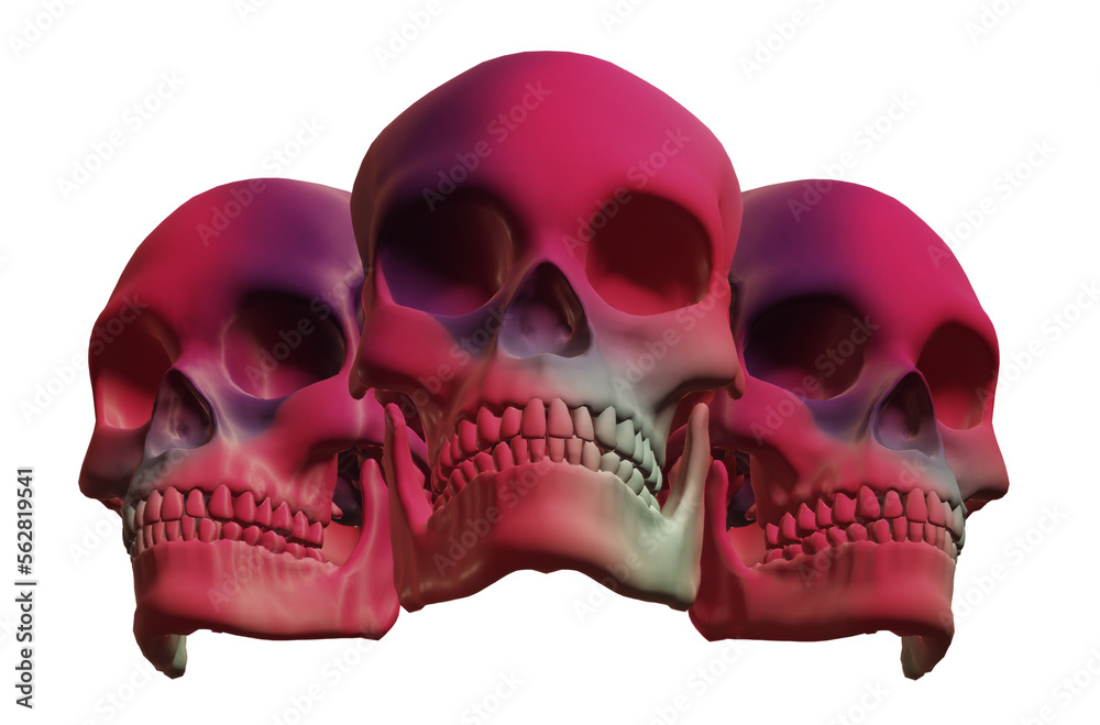 Obraz premium skull, human skeleton