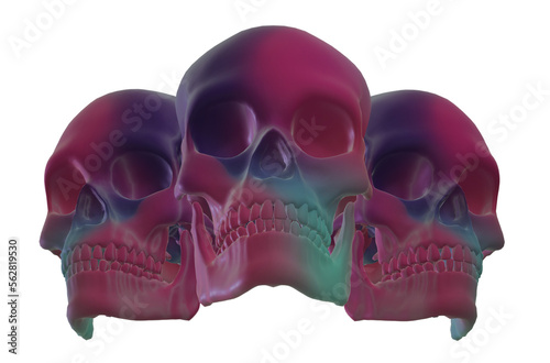 skull, human skeleton