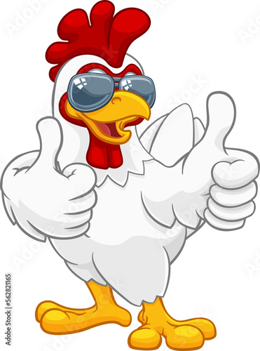 Chicken Rooster Cockerel Bi...
