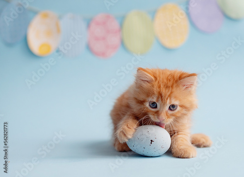 Easter greeting card background. Kitten with eggs, spring mood. Copy space.