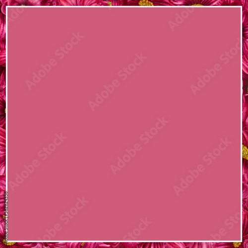 Watercolor hand drawn cosmea flower square frame in trendy color viva magenta. Elements isolated on white background © el_suhova