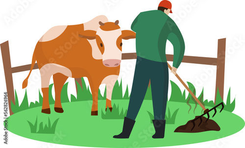 Male farmer cleaning cow dung on the grass, Cow shitting, pooping. Cow dung, farmer making manure from cow dung vector illustration, farmer cattle concept illustration