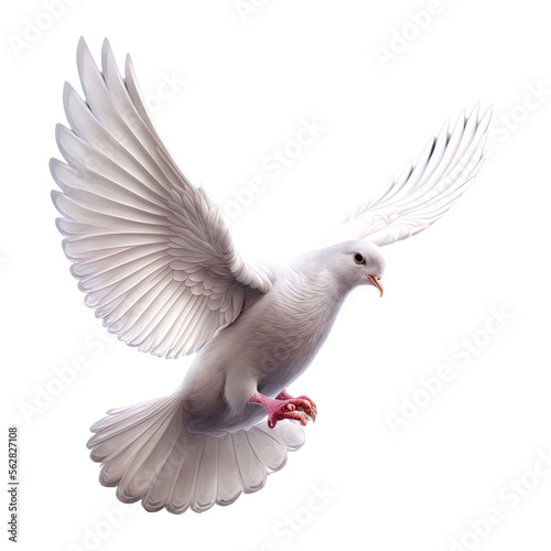 "White Dove of Peace"