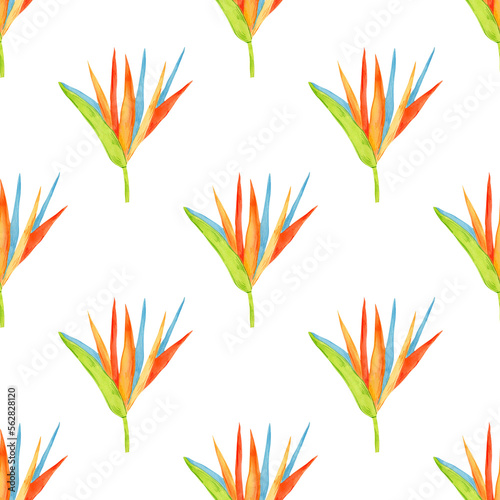 Watercolor tropical flowers seamless pattern isolated on white background. Colorful exotic floral illustration.