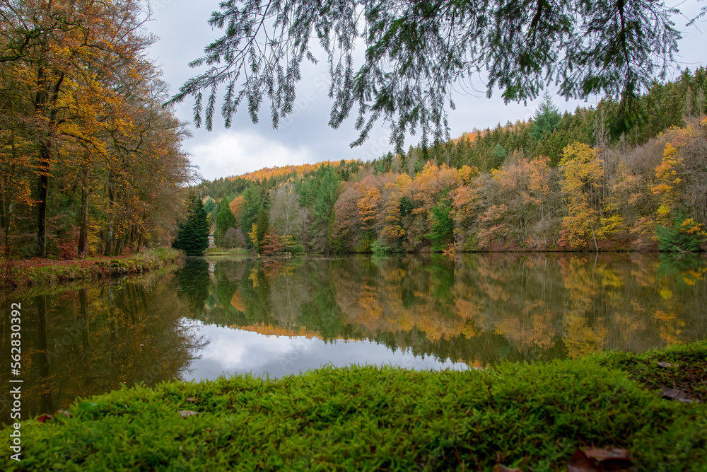 Autumn Reflection