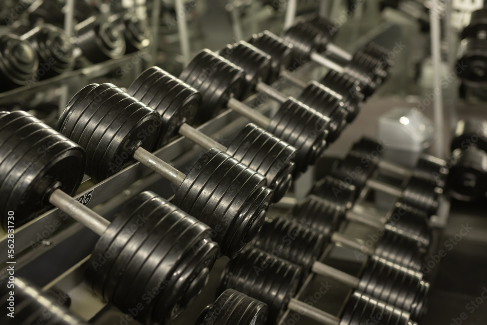 Naklejka premium dumbbells in the gym, sport concept