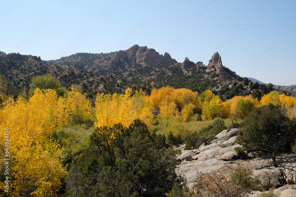 Fall in the desert- color