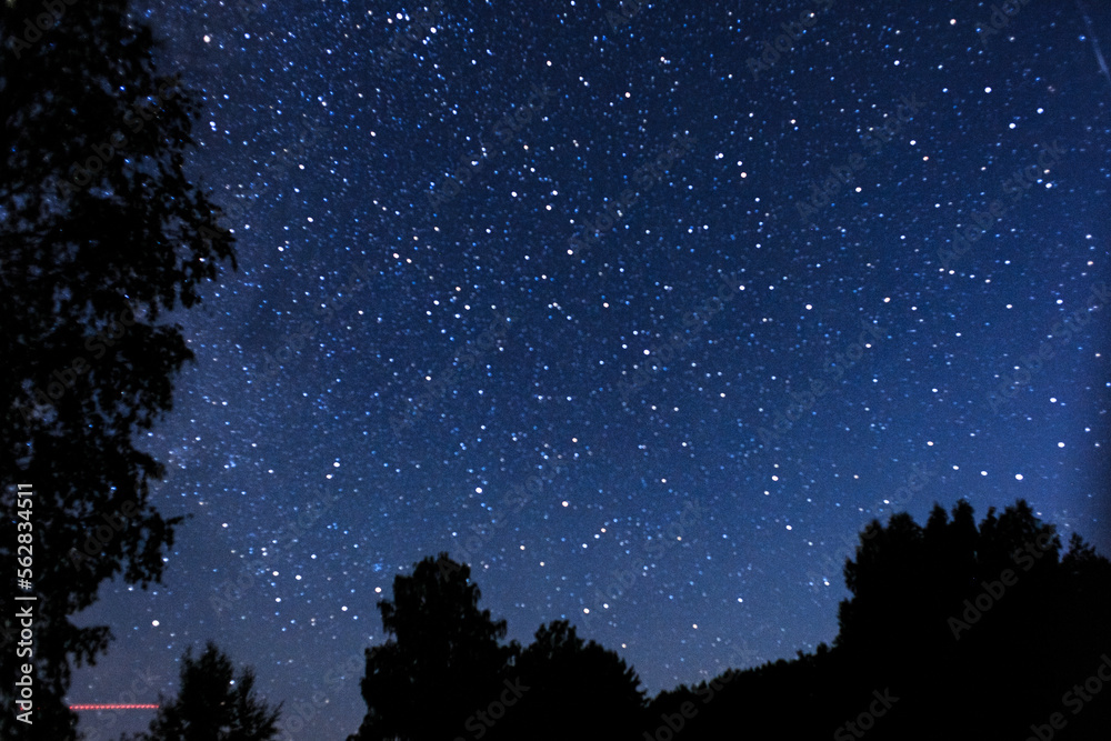 Starry sky with many multi-colored stars, the Milky Way, against the background of silhouettes of trees.