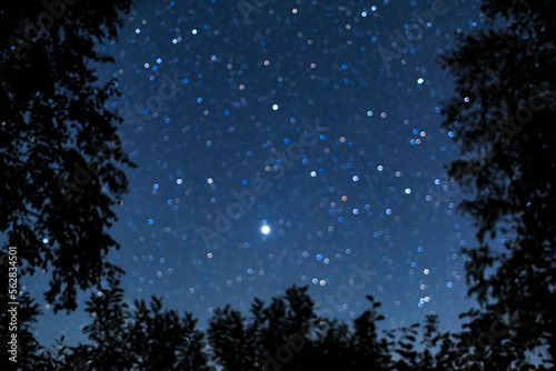 Starry sky with many multi-colored stars, foliage and trees silhouette. © Константин Чернышов