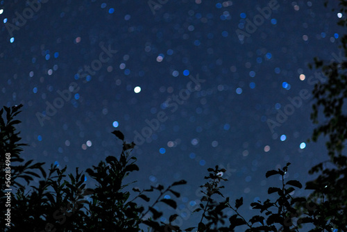 Starry sky with many stars, foliage silhouette. © Константин Чернышов