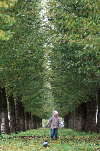 A girl of four years old in autumn clothes walks along the alley surrounded by trees with green foliage. Vertical orientation. © Константин Чернышов