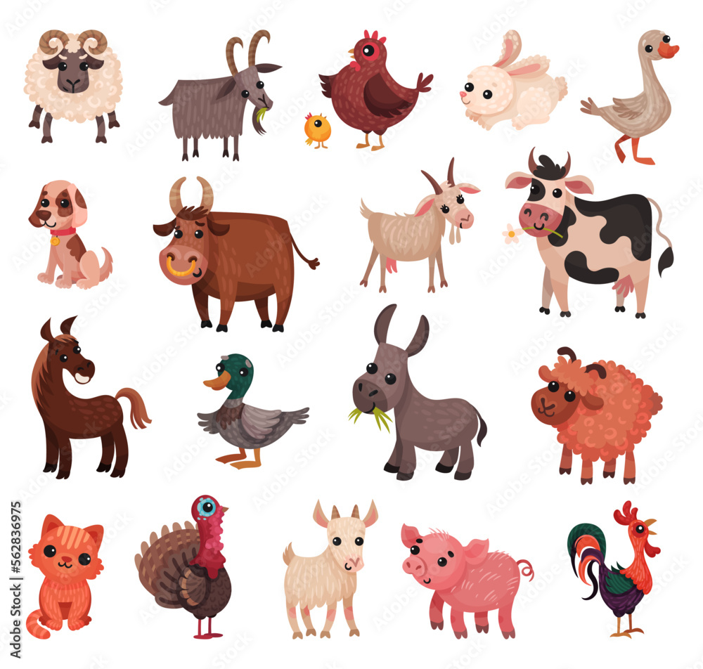 Fototapeta premium Cute Farm and Domestic Animals as Rural Livestock Big Vector Set