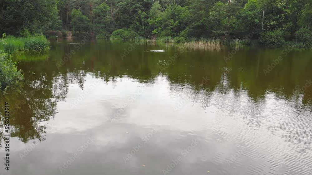 Aerial flyover drone shot of a forest lake in The Netherlands Aerial flyover drone shot of a forest lake in The Netherlands