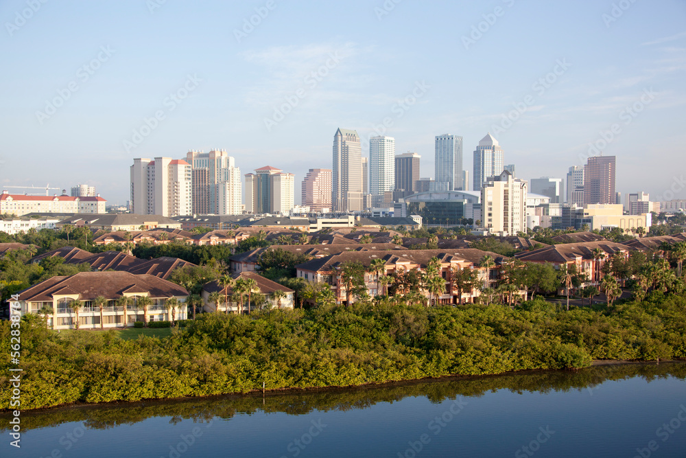 Residential Harbour Island And Tampa Downtown