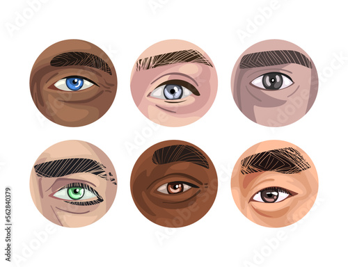 Human Eye of Various Color as Sense Organ with Brow Vector Set