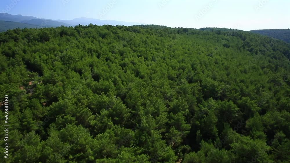 Aerial view of mountainside pine tree forest Aerial view of mountainside pine tree forest