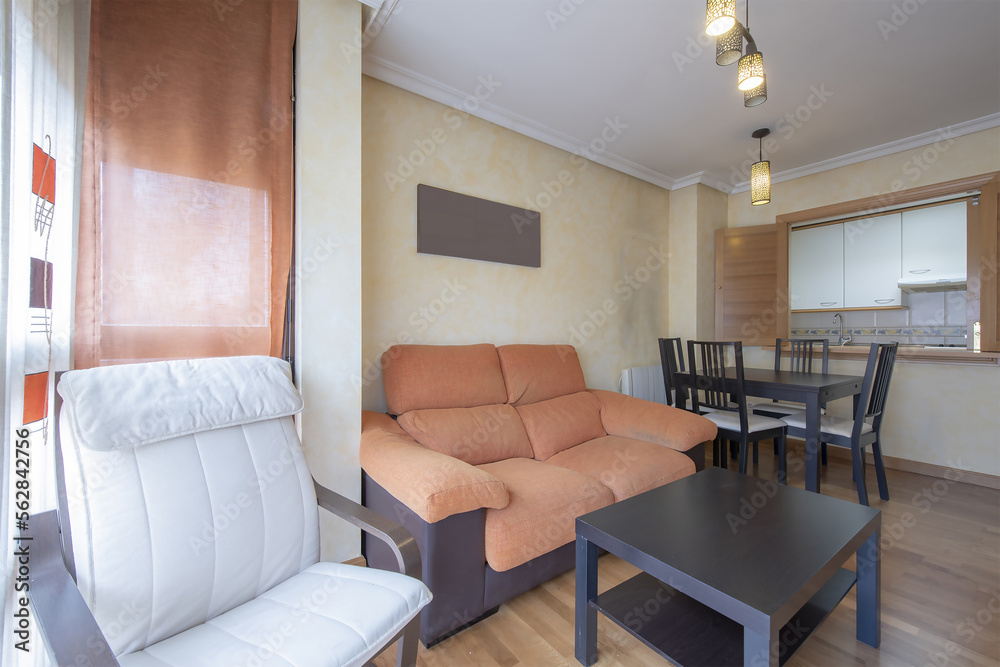 Fototapeta premium Apartment with a small living room with a serving hatch to the kitchen and black cabinets