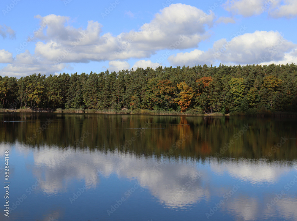 autumn lake in the forest
