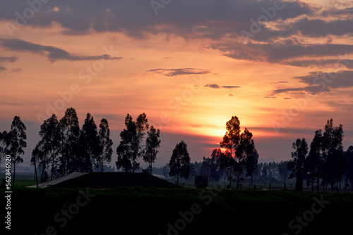 landscape with silhouette of giant trees on the horizon and a golden and violet sunset in the background. black silhouette of cottage in the middle of a sunset. sunset in the countryside. 