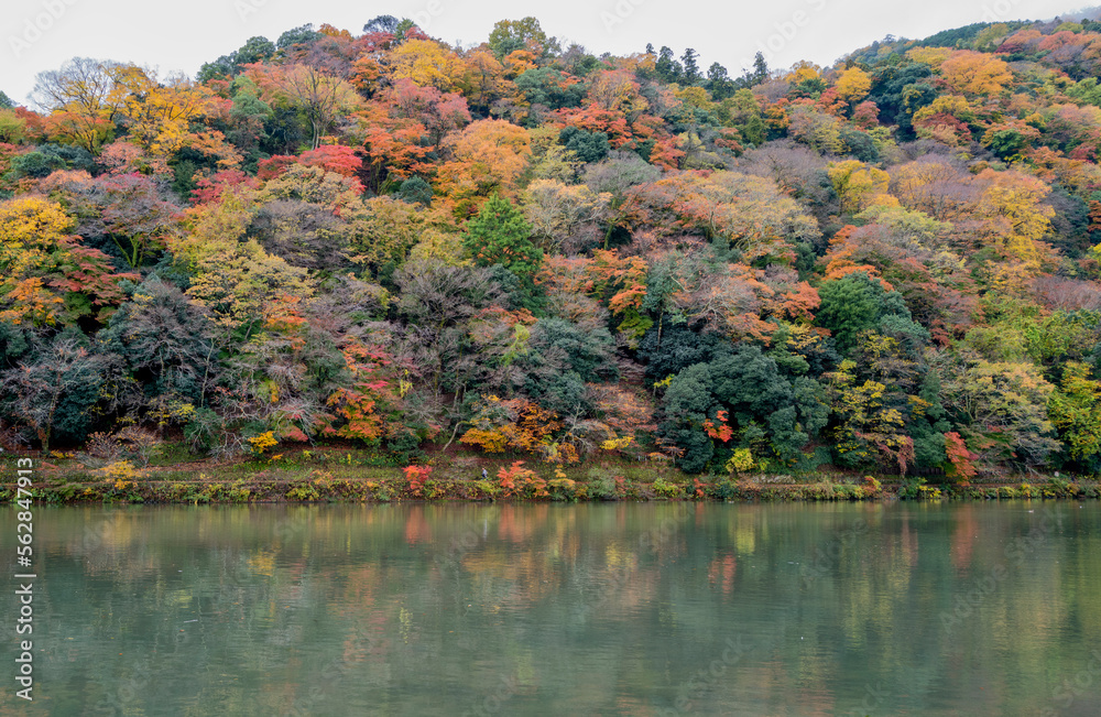 Kyoto foliage in Autumn Koyo