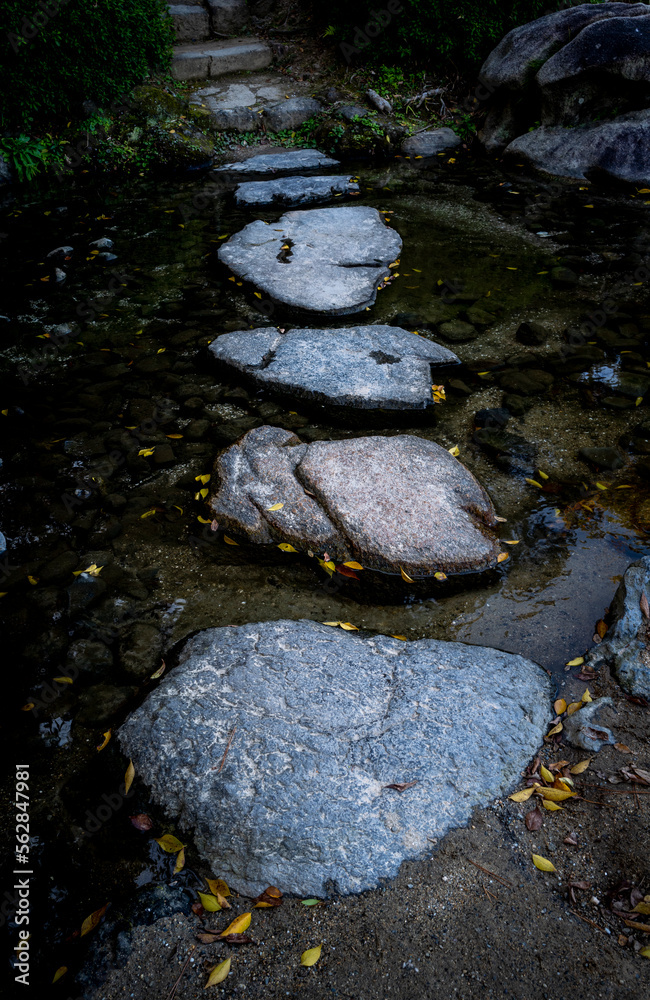 Japanese stepping stones over a stream