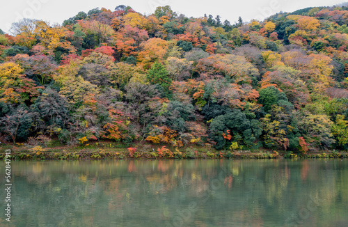 Obraz na płótnie Kyoto foliage in Autumn Koyo w salonie