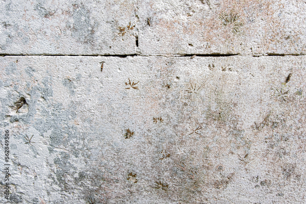 Obraz premium Old white concrete wall with black stains and deep crevice from left to right at top