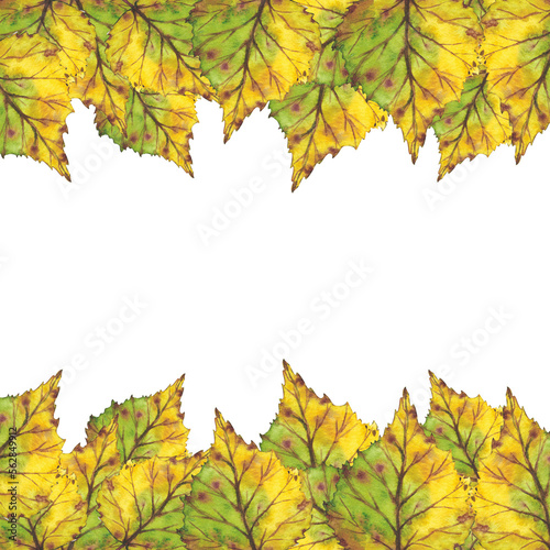 Border with yellow autumn leaves. Watercolor illustration. Clip art botany foliage. Illustration for greeting cards, wedding invitations, quote and decorations.