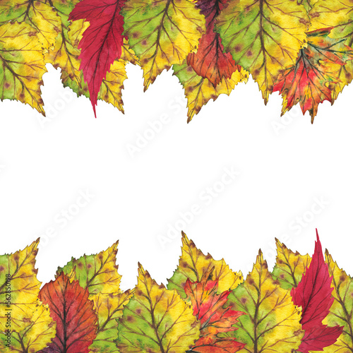 Border with yellow autumn leaves. Watercolor illustration. Clip art botany foliage. Illustration for greeting cards  wedding invitations  quote and decorations.