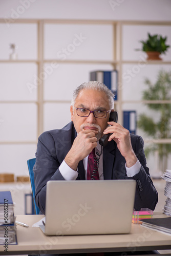 Old male boss working in the office