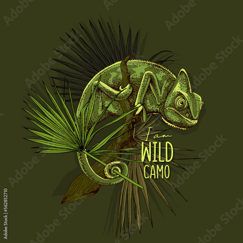 Chameleon on the branch and exotic palm leaves. Card, t-shirt composition, meme, hand drawn style print. Vector illustration.