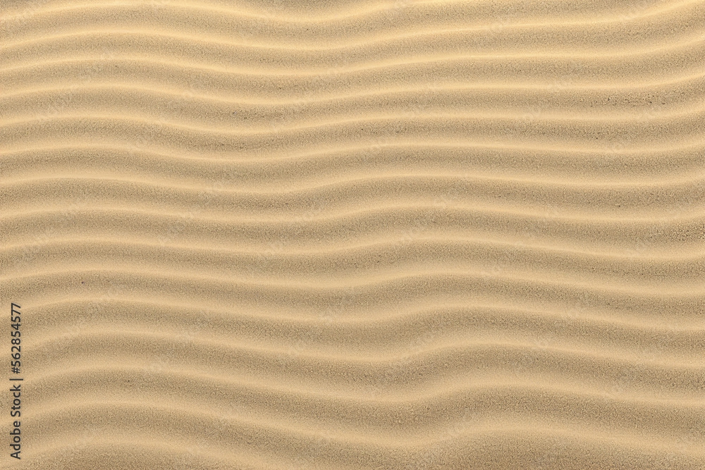 Fototapeta premium textured white sand dune background