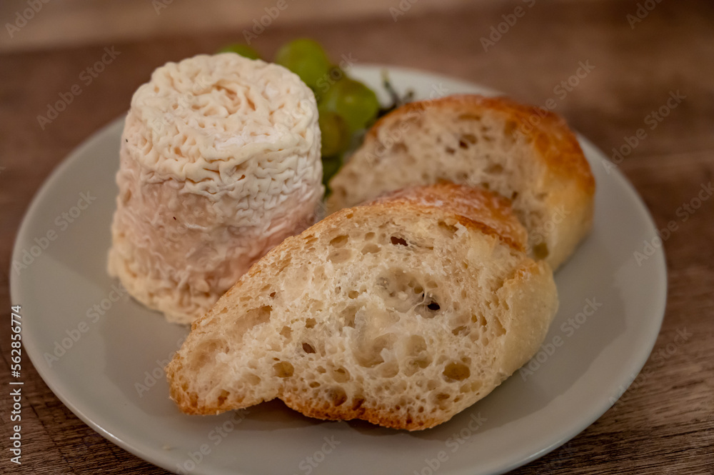 Cheese collection, French soft Chabichou of Poitou cheese made from goat milk in region Nouvelle-Aquitaine, France Cheese collection, French soft Chabichou of Poitou cheese made from goat milk in region Nouvelle-Aquitaine, France