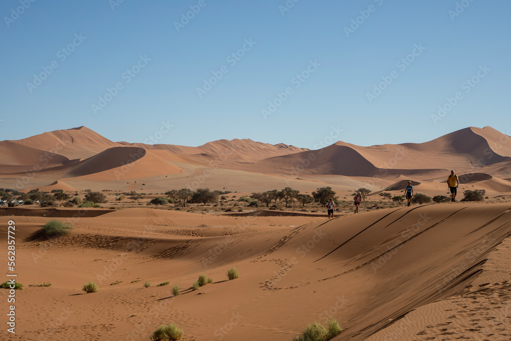 Hiking on sand dunes around Deadvlei in Sossusvlei in the Namib Desert in Namibia, Africa